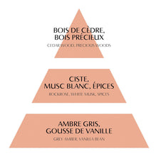 Charger l'image dans la galerie, Diffuseur de parfum d’ambiance Amour de Fleur 200ml - Marquise
