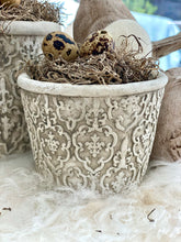 Charger l&#39;image dans la galerie, Cache pot fleurs de lys GM H14xL15cm ( non garni)
