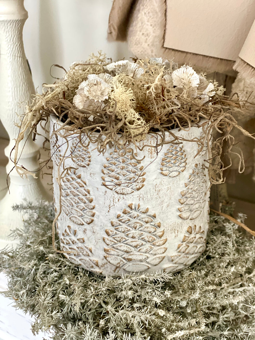 Pot pommes de pin garni