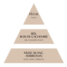 Charger l'image dans la galerie, Surconcentré de parfum d’ambiance en goutte 10ml - Bois de Cachemire
