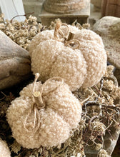 Charger l'image dans la galerie, Citrouille beige en bouclette PM H6xL7cm
