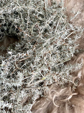 Charger l&#39;image dans la galerie, Couronne Asparagus caramel 20cm
