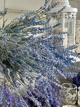 Charger l'image dans la galerie, Branche de lavandes ( sur photo 8 branches)65cm
