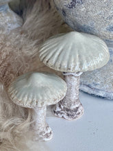 Charger l'image dans la galerie, Champignon céramique vert tendre/brun PM H8xL6cm
