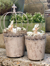 Charger l&#39;image dans la galerie, Cache pot zinc vieilli MM H23xL19cm garni de mousse, fleurs
