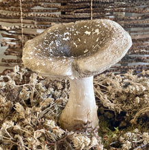 Charger l'image dans la galerie, Duo de champignons en résine H17xL11cm
