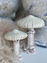 Charger l'image dans la galerie, Champignon céramique vert tendre/brun PM H8xL6cm
