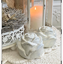 Charger l&#39;image dans la galerie, Rose ciment blanchi H10xL10cm

