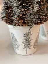 Charger l&#39;image dans la galerie, Cache pot céramique nature écru/vert PM H12xL11cm
