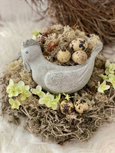 Charger l&#39;image dans la galerie, Poulette creuse ciment garnie de mousse et œufs de cailles ( convient en extérieur) H13xL17cm
