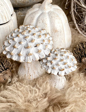 Charger l'image dans la galerie, Champignon bois blanchi GM H14xL10cm
