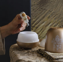 Charger l'image dans la galerie, Surconcentré de parfum d’ambiance en goutte 10ml - Bois de Cachemire

