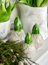 Charger l'image dans la galerie, Bulbe jacinthe céramique MM H10xL6cm
