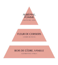 Charger l'image dans la galerie, Bougie parfumée Les Intemporelles 145g - Fleur de Cerisier
