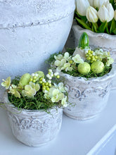 Charger l'image dans la galerie, Pot en ciment rond garni de mousse, fleurs, œufs et 1 bulbe jacinthe H12xL15cm
