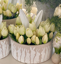 Charger l'image dans la galerie, Bouquet 3 tulipes GM 26cm
