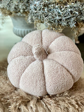 Charger l&#39;image dans la galerie, Citrouille Teddy taupe XL H20xL30cm
