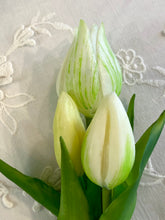 Charger l'image dans la galerie, Bouquet 3 tulipes PM 16cm
