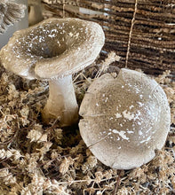 Charger l'image dans la galerie, Duo de champignons en résine H17xL11cm

