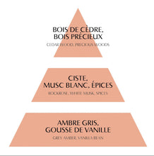 Charger l'image dans la galerie, Recharge pour diffuseurs d’ambiance Les Intemporelles 200ml - Marquise
