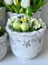 Charger l'image dans la galerie, Pot en ciment rond garni de mousse, fleurs, œufs et 1 bulbe jacinthe H12xL15cm
